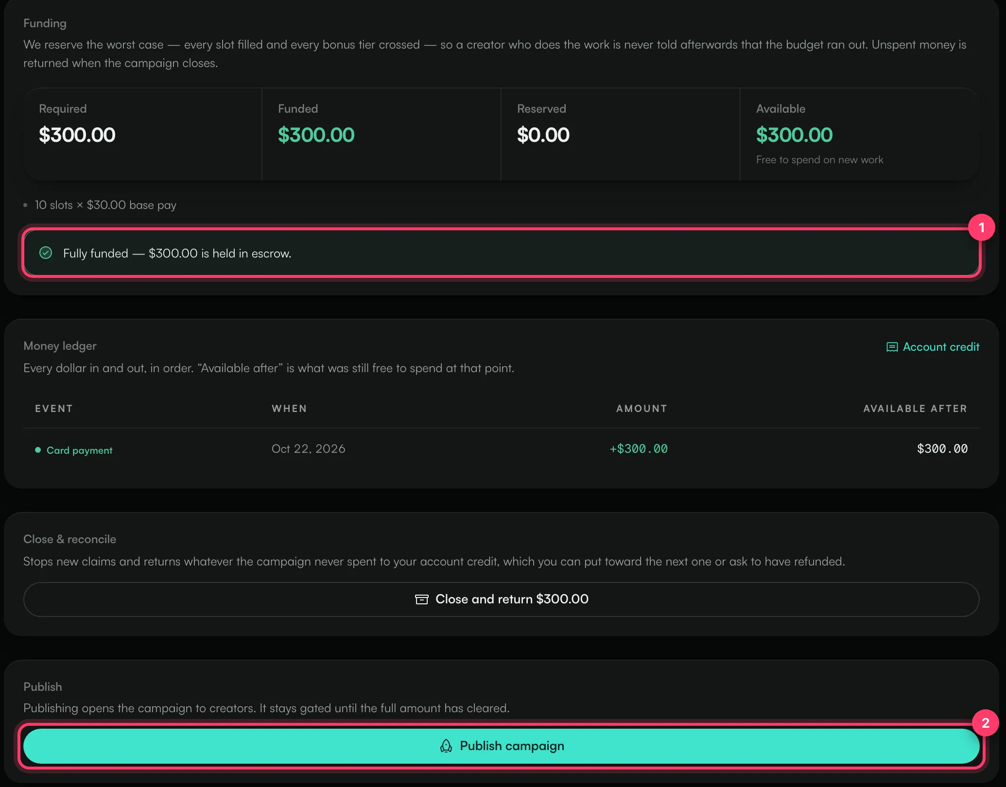 A fully funded campaign with the Publish campaign button
