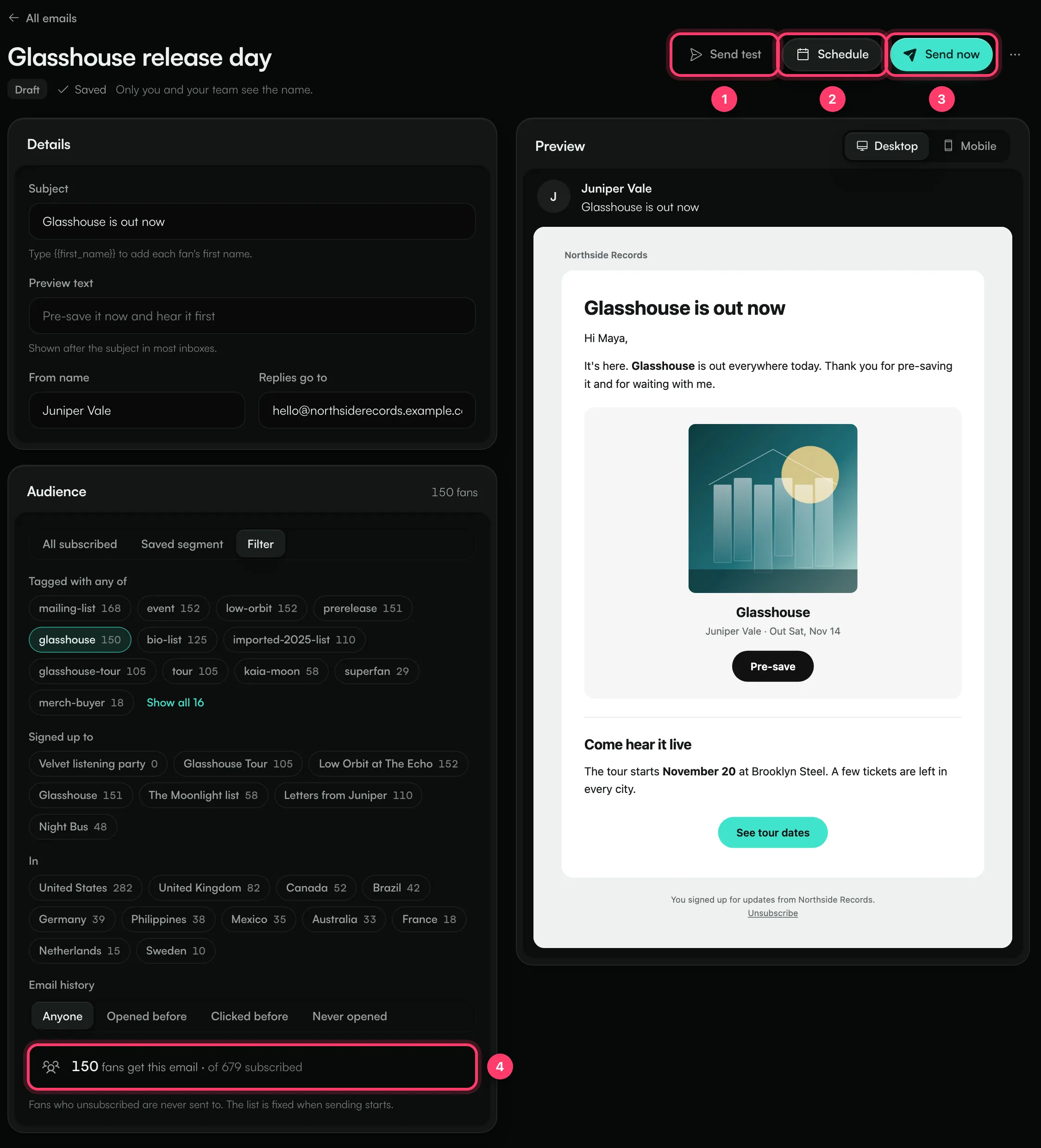 The email editor with Send test, Schedule and Send now, the details, the audience count and the preview