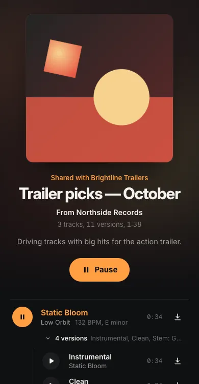 A shared playlist as the recipient sees it on a phone, with the track list and its versions