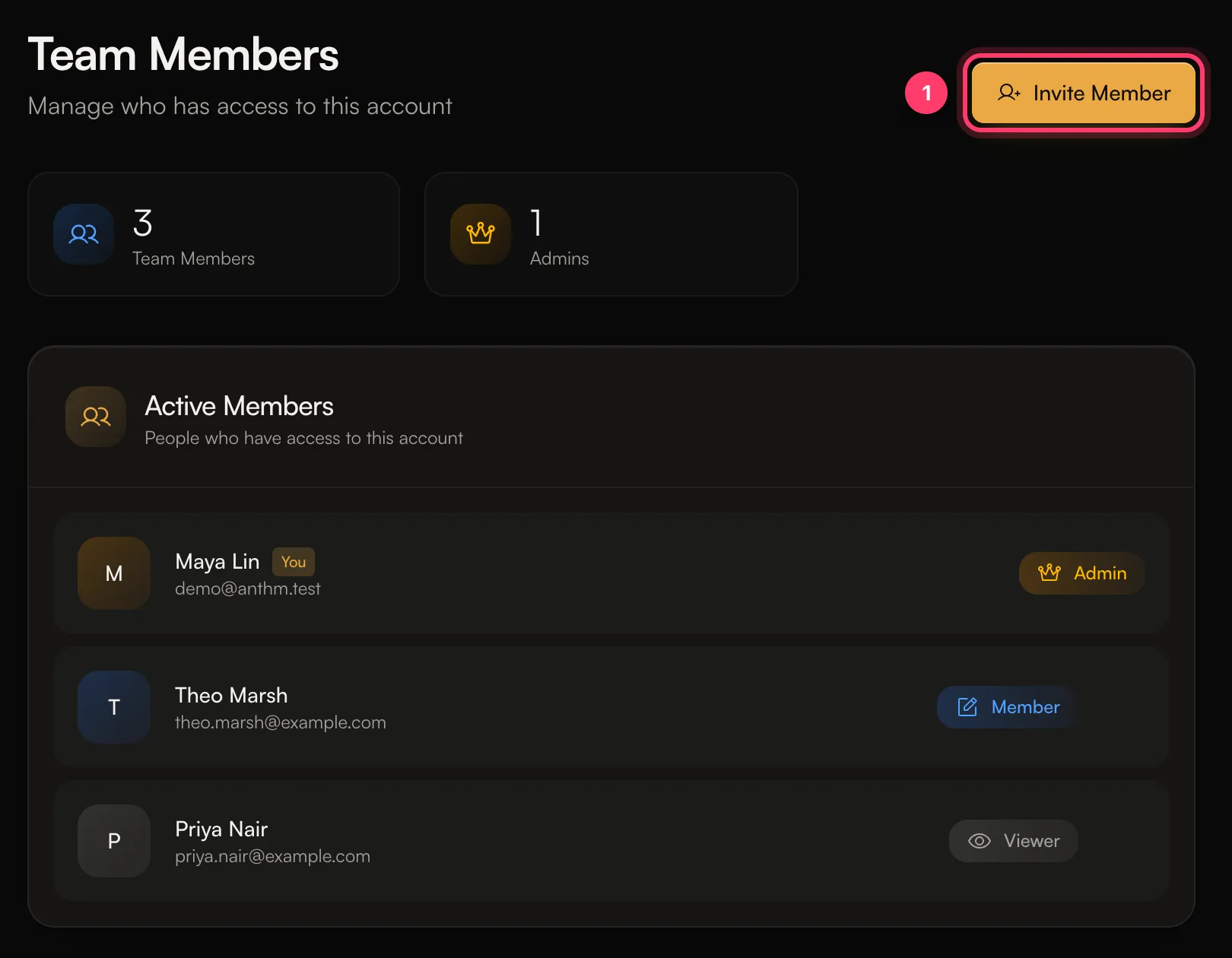 The Team Members page with the Invite Member button