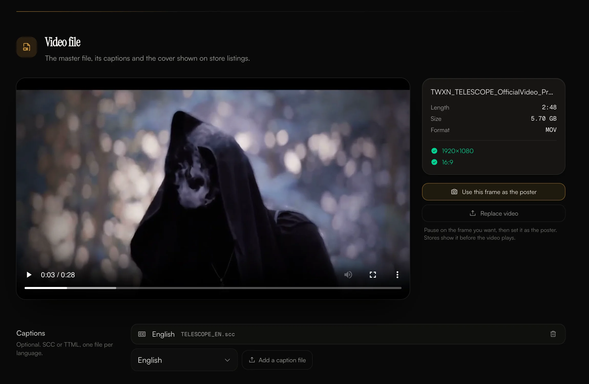 The video file section: the player, file details and the button to use the current frame as the poster